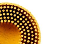 Dischi a tazza Bristle 3M attacco Roloc™ Ø 50 mm grana 80 (10pz)