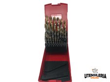 Set di punte HSS A095 serie corta da 1.00 a 13.00mm Dormer (25pz) Set di punte HSS A095 serie corta da 1.00 a 13.00mm Dormer (25pz)