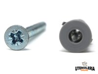 Tasselli Fischer in nylon FU-V con vite truciolare (25pz)