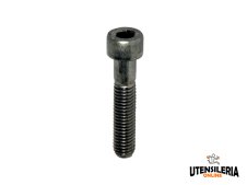 Vite testa cilindrica SW II M8x30 A2 per sistemi Solar Wind II (100pz) Vite testa cilindrica SW II M8x30 A2 per sistemi Solar Wind II (100pz)