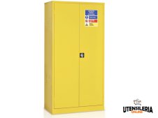 Armadio di sicurezza per vernici e solventi Tecnotelai 1000x500x2000mm Armadio di sicurezza per vernici e solventi Tecnotelai 1000x500x2000mm
