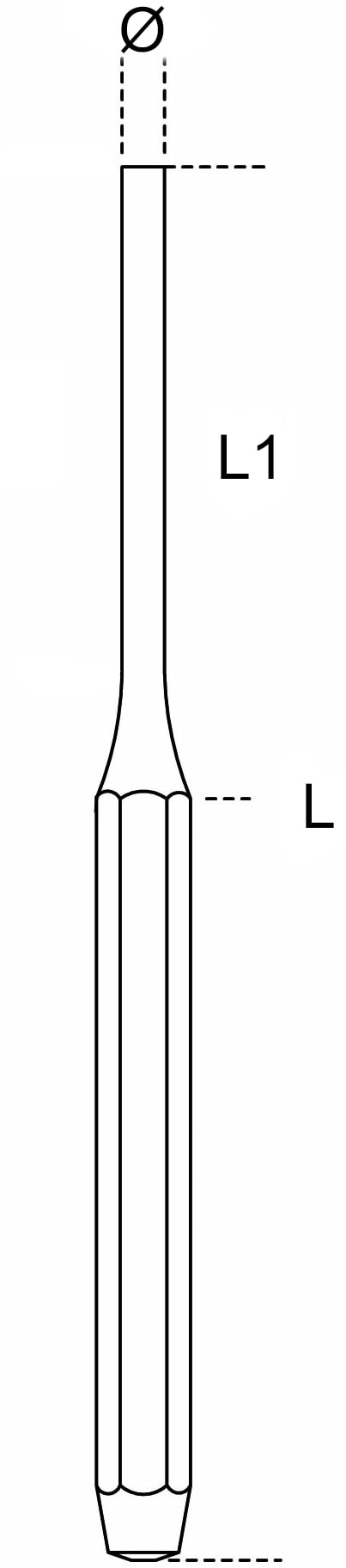 Schema tecnico cacciaspina Beta 31BM