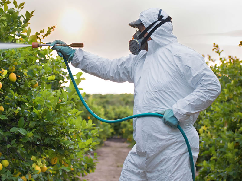 Maschera 3M per i trattamenti fitosanitari, scelta tra filtri fissi o sostituibili.