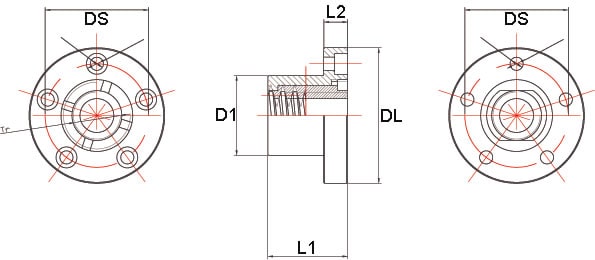 Dati tecnici Madrevite in INOX interno plastico FIP