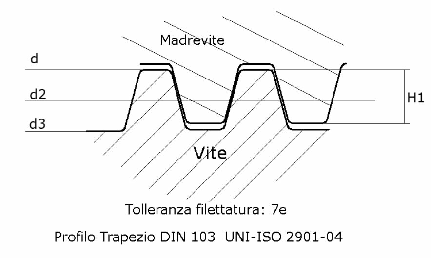 immagine dettagliata viti rullate trapezoidali Tr20x04