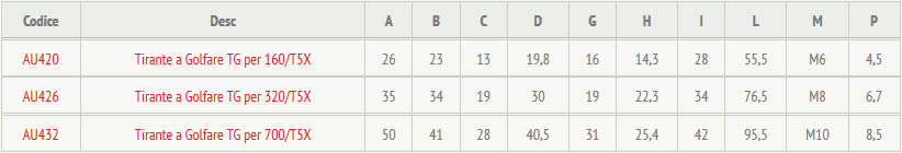 tabella dettagliata accessorio a tirante 160X/TG