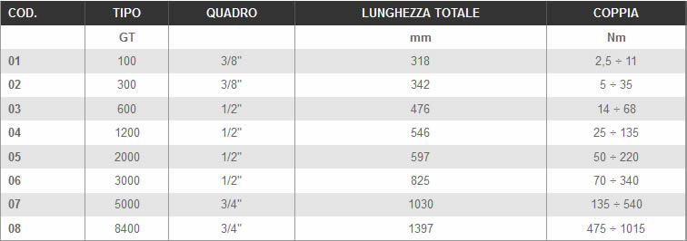 Dettagli chiave dinamometrica regolabile LTF