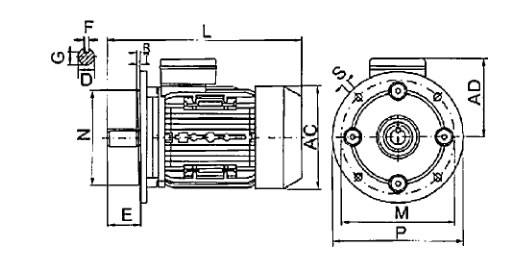 tabella dettagliata motore elettrico B5