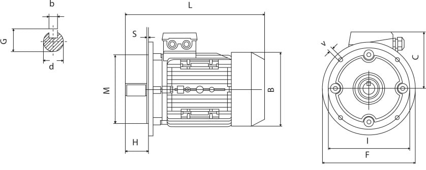 tabella dettagliata motore elettrico B5