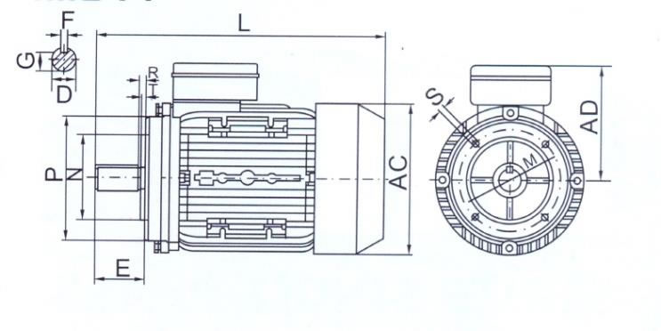 tabella dettagliata motore elettrico B14