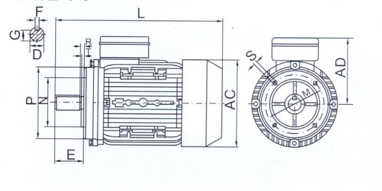 tabella dettagliata motore elettrico B14