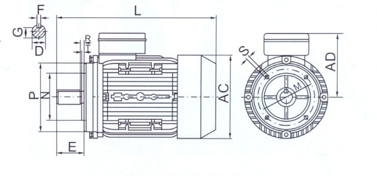 tabella dettagliata motore elettrico B14