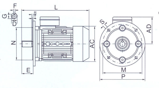 tabella dettagliata motore elettrico B5