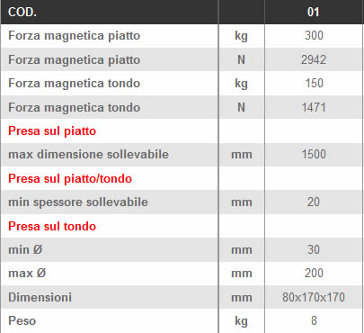 Dettagli sollevatori magnetici LTF