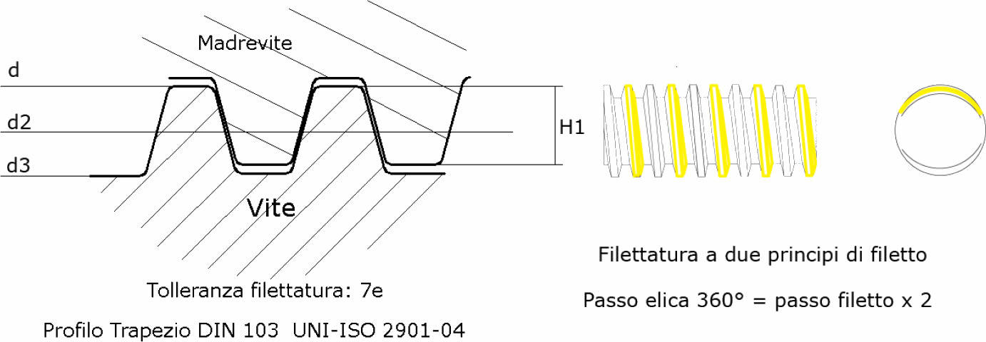 immagine dettagliata viti rullate trapezoidali Tr12x06