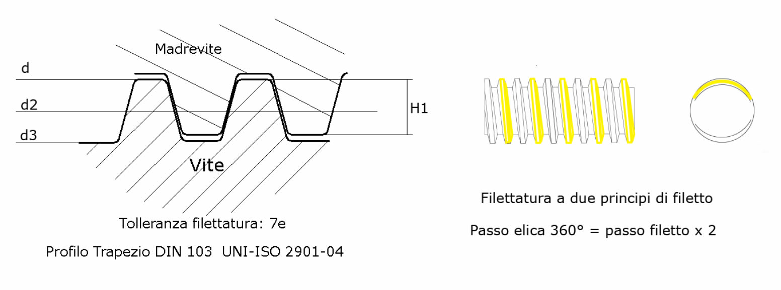 immagine dettagliata viti rullate trapezoidali Tr16x08