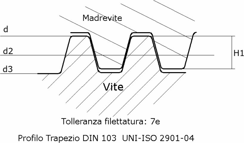 immagine dettagliata viti rullate trapezoidali Tr40x07