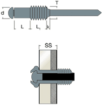 Schema tecnico rivetto speciale FIL Rivit