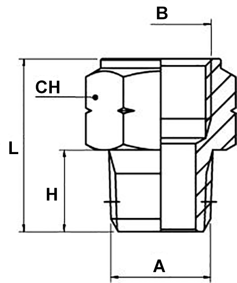 Schema adattatore Aignep 82241