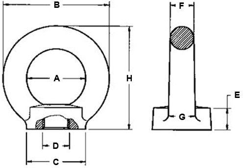 Schema golfare femmina Carcano 802