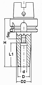 schema mandrino a calettamento a caldo Shrink Fit LTF PRT