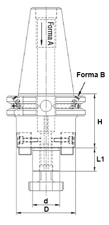 schema mandrino porta frese attacco DIN 69871 AD LTF PRT