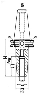 schema mandrino calettamento a caldo attacco DIN 69871 AD/B LTF PRT