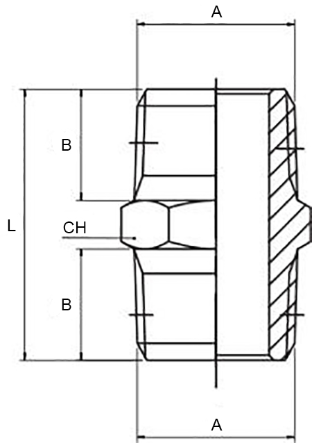 Schema nipplo Aignep 2000