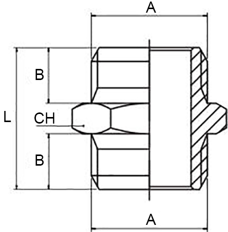 Schema nipplo Aignep 2010