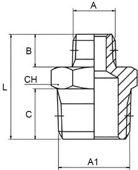 Schema nipplo Aignep 2020