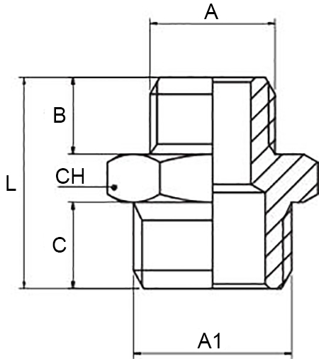 Schema nipplo Aignep 2030