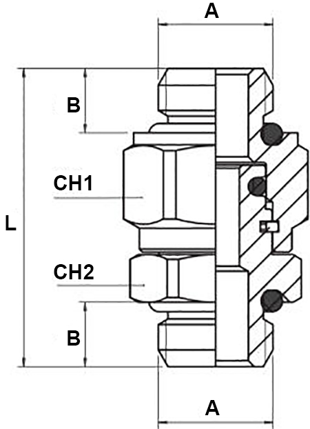 Schema nipplo Aignep 2116