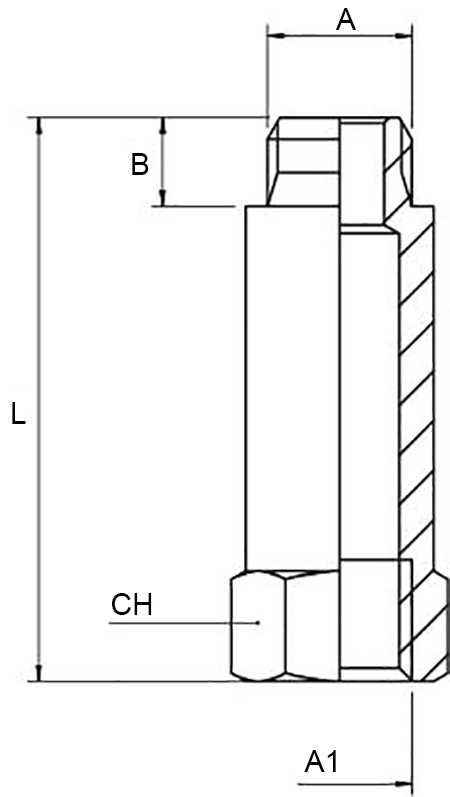 Schema prolunga Aignep 2070