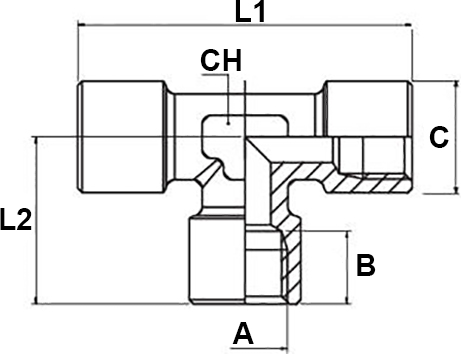 Schema raccordo Aignep 4000