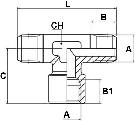 Schema raccordo Aignep 4020