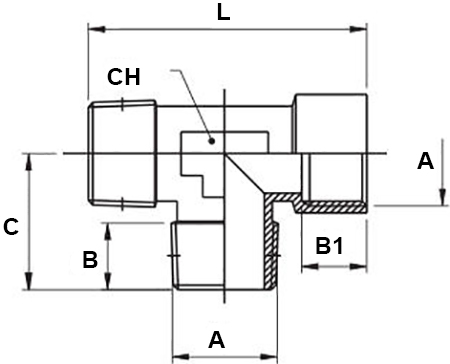 Schema raccordo Aignep 4030