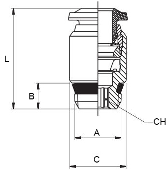 Schema raccordo Aignep 50010