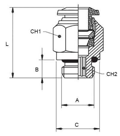 Schema raccordo Aignep 50020