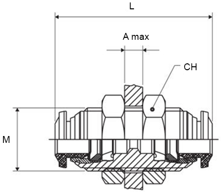 Schema raccordo Aignep 50050