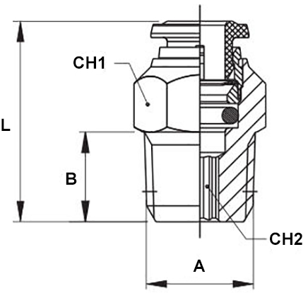 Schema raccordo Aignep 60000