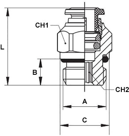 Schema raccordo Aignep 60020