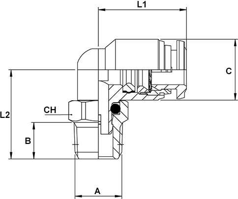 Schema raccordo Aignep 60110X