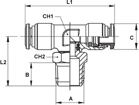 Schema raccordo Aignep 60210