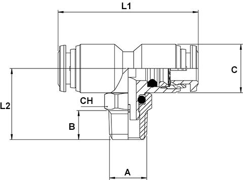 Schema raccordo Aignep 60210X