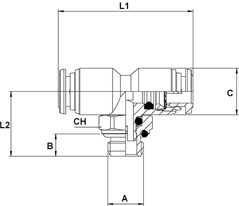 Schema raccordo Aignep 60215X