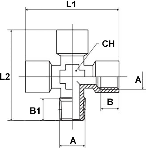 Schema raccordo Aignep 6025