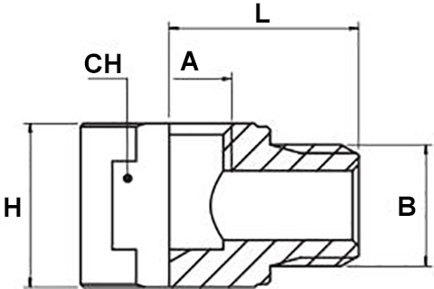 Schema raccordo Aignep 6070