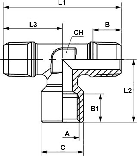 Schema raccordo Aignep 62420