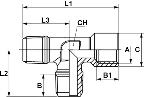 Schema raccordo Aignep 62430