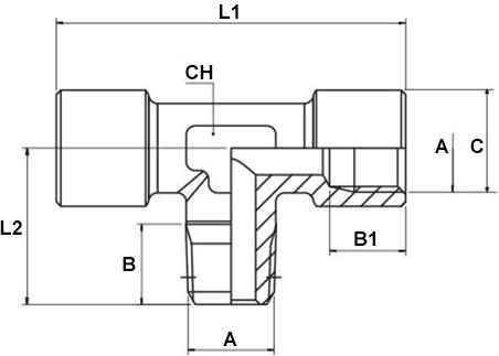 Schema raccordo Aignep 62440